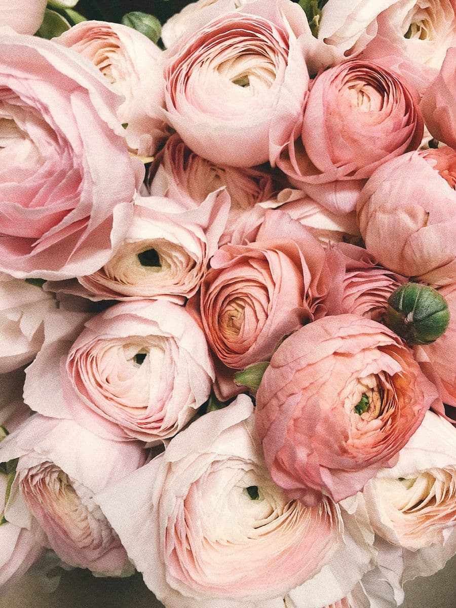 Soft pink flowers for a special someone